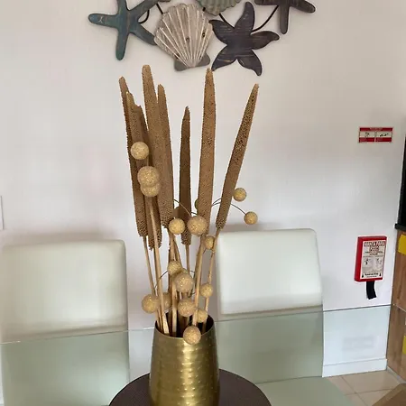 Neptuno Iv - Vilamoura Appartement